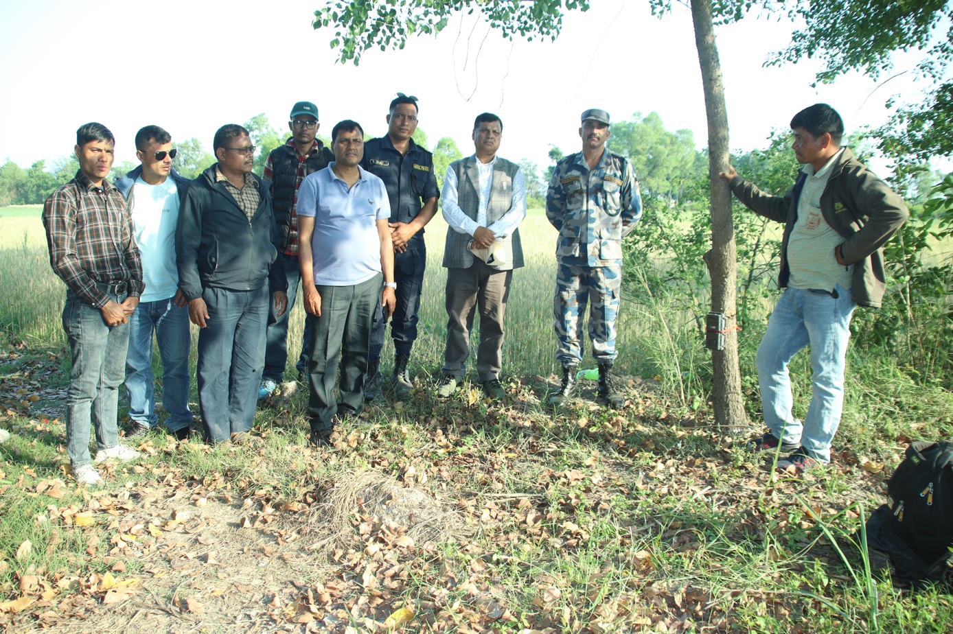 कञ्चनपुरको दक्षिणी क्षेत्रका गाउँ पस्ने बाघको पहिचान गर्न स्वचालित क्यामेरा जडान